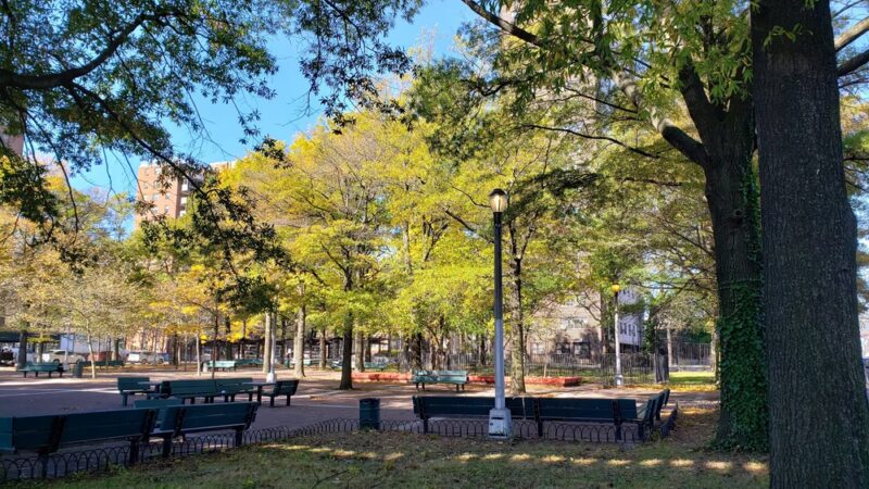 Livonia Park - Brooklyn, NY