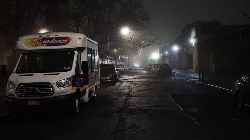 Livonia Park - Brooklyn, NY