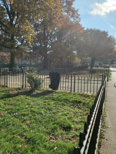 Marcy Green Center - Brooklyn, NY