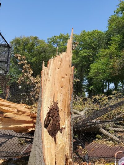 Mellett Playground - Brooklyn, NY