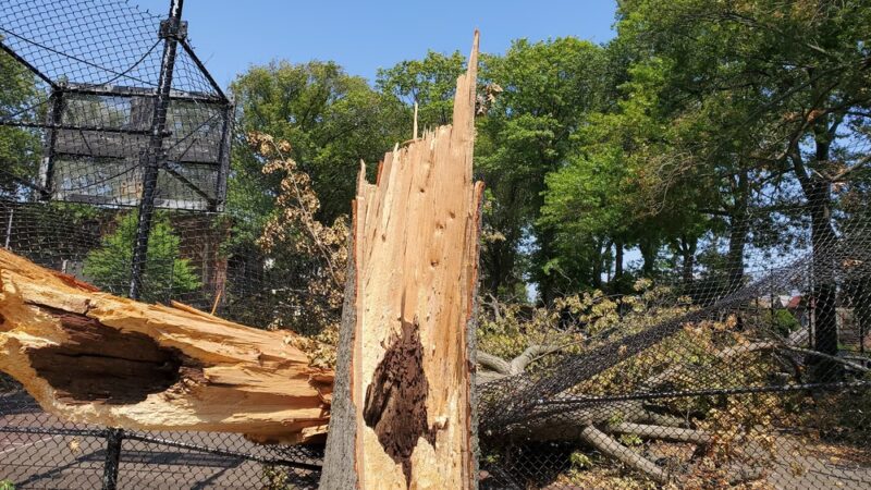 Mellett Playground - Brooklyn, NY