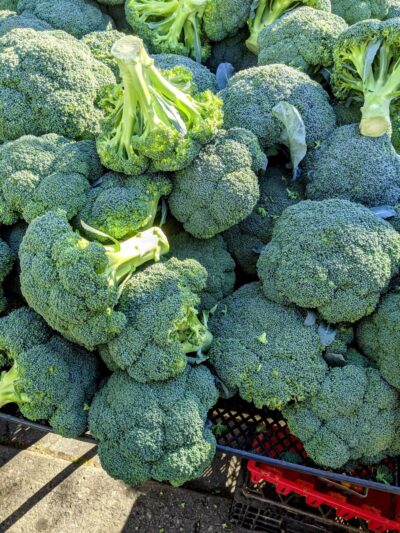 Milestone Park - Brooklyn, NY