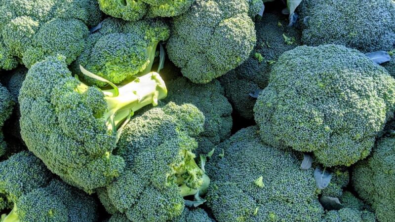 Milestone Park - Brooklyn, NY