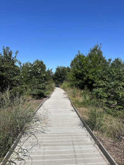 Paerdegat Basin Park - Brooklyn, NY