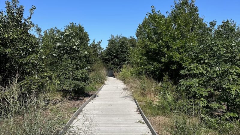 Paerdegat Basin Park - Brooklyn, NY