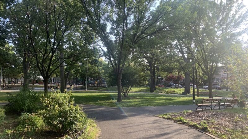 Paerdegat Park - Brooklyn, NY