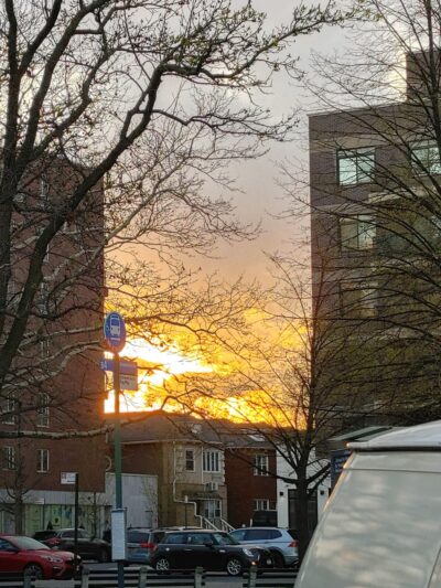 Parks - Brooklyn, NY