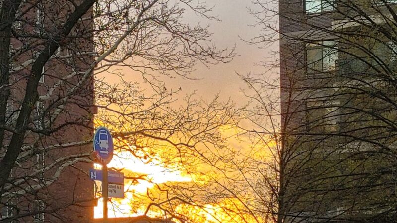 Parks - Brooklyn, NY