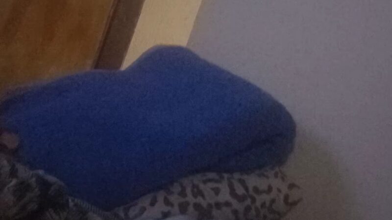 Parks - Brooklyn, NY