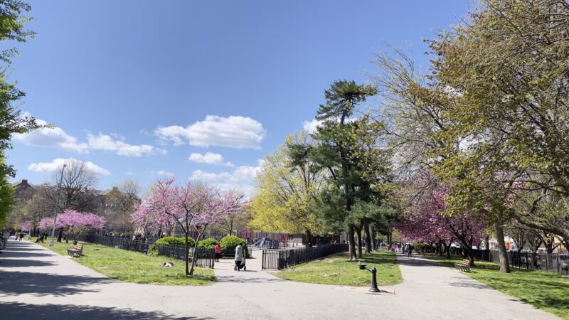 Seth Low Playground - Brooklyn, NY