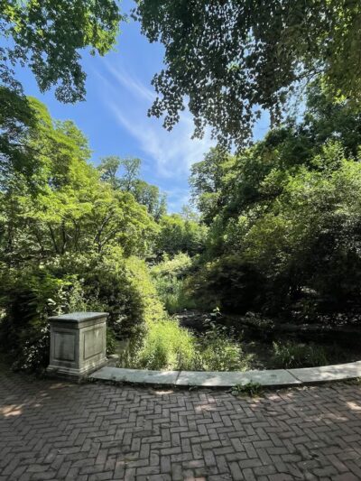 Vale of Cashmere - Brooklyn, NY