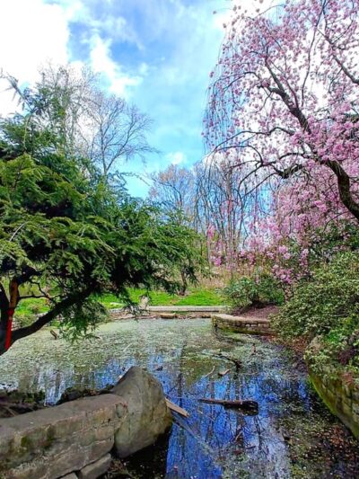 Vale of Cashmere - Brooklyn, NY