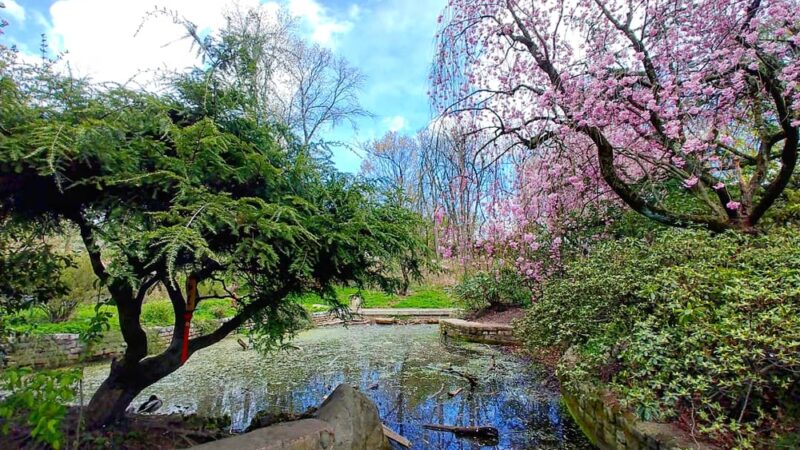 Vale of Cashmere - Brooklyn, NY