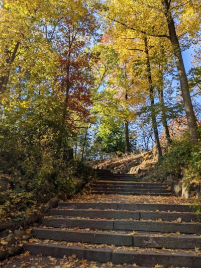 Vale of Cashmere - Brooklyn, NY