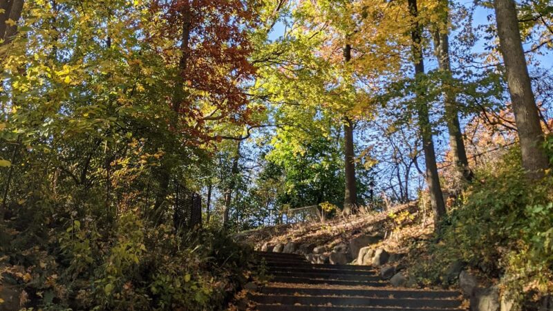 Vale of Cashmere - Brooklyn, NY