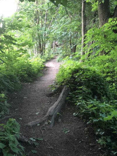 Vale of Cashmere - Brooklyn, NY