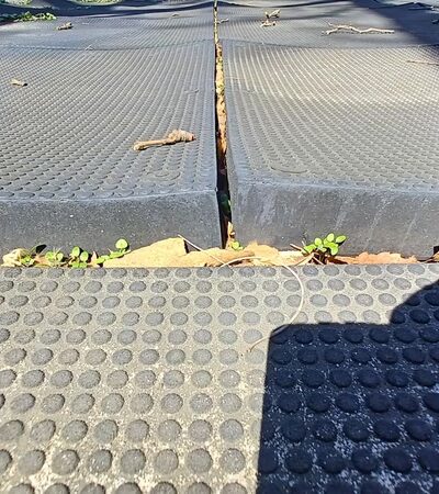 Washington Hall Park - Brooklyn, NY