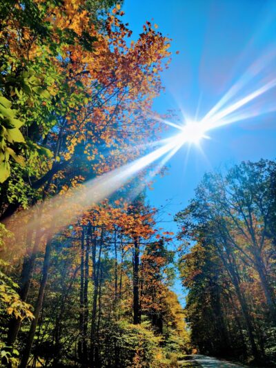 Shindagin MTB - Brooktondale, NY