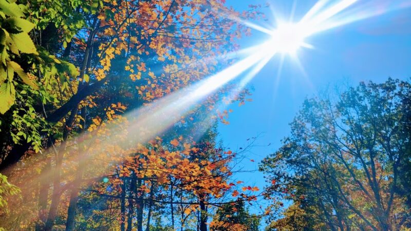 Shindagin MTB - Brooktondale, NY