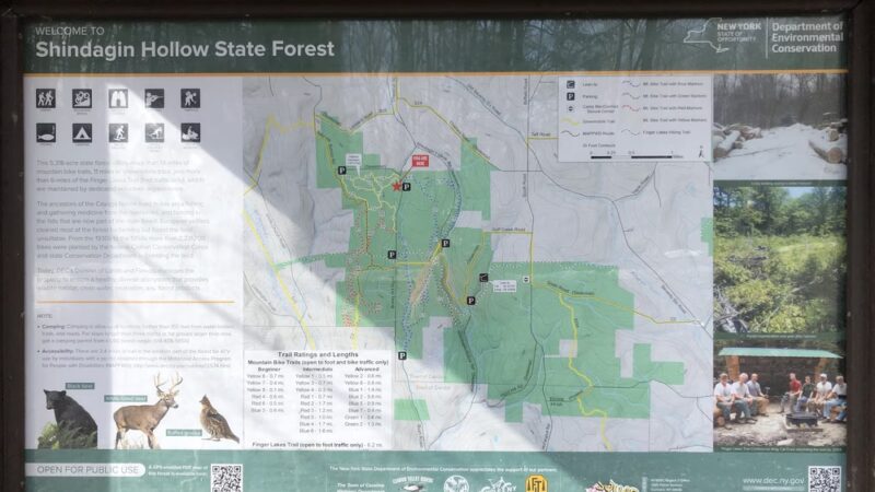 Shindagin MTB - Brooktondale, NY