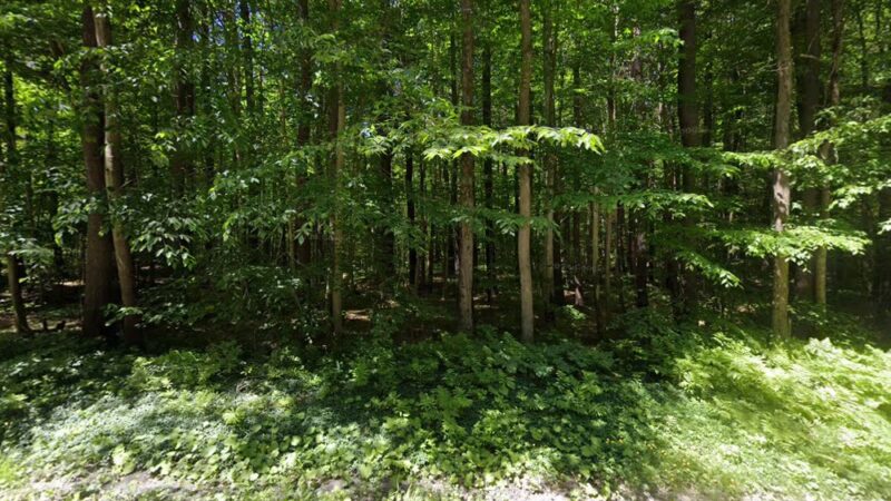 Shindagin MTB - Brooktondale, NY