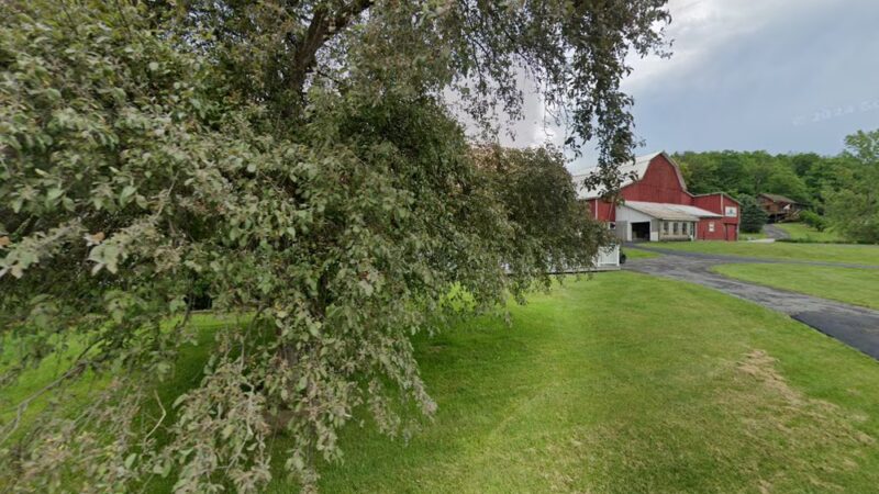 The Pet Playhouse and Kennels - Brooktondale, NY