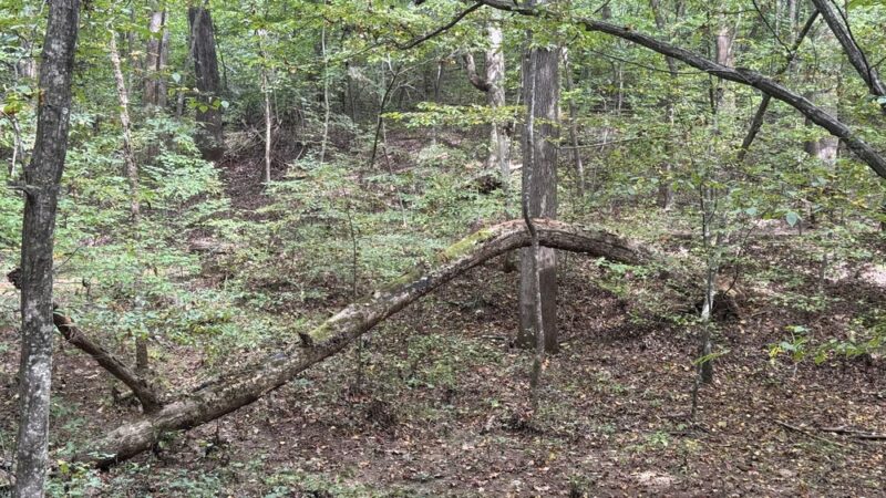 Bryan Park - Browns Summit, NC