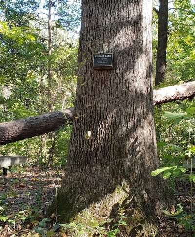 Bryan Park - Browns Summit, NC