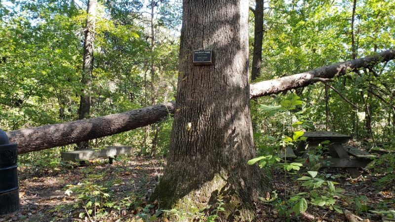 Bryan Park - Browns Summit, NC