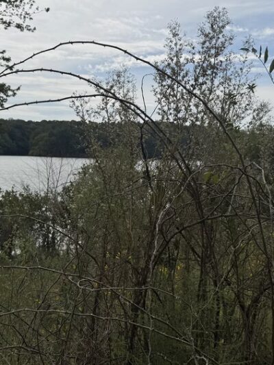 Bryan Park - Browns Summit, NC