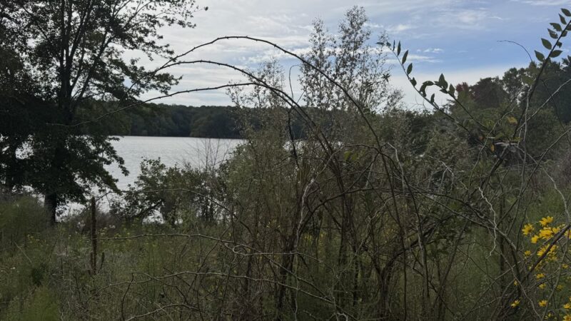 Bryan Park - Browns Summit, NC