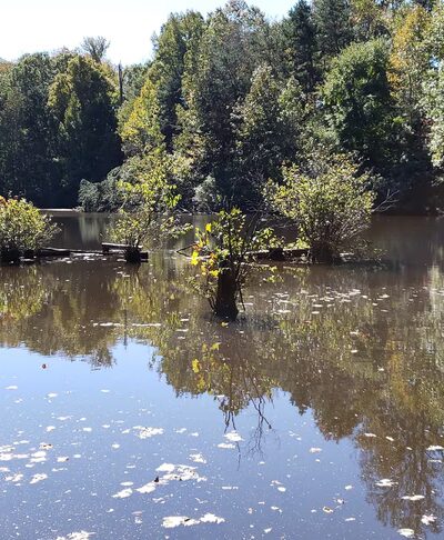 Bryan Park - Browns Summit, NC