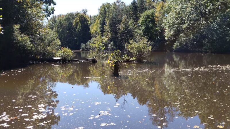 Bryan Park - Browns Summit, NC