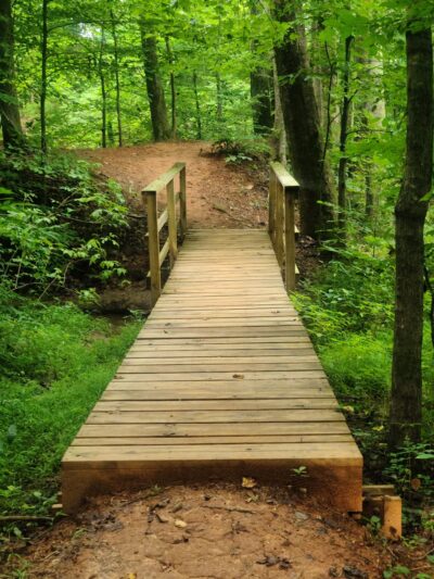 Osprey Trail Parking and Trail - Browns Summit, NC