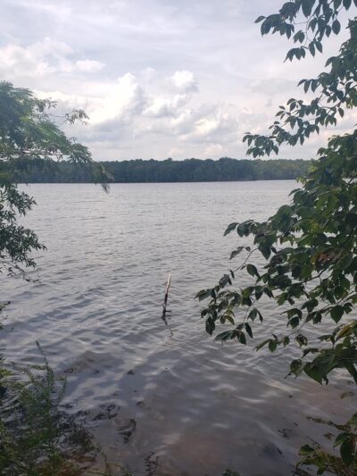 Osprey Trail Parking and Trail - Browns Summit, NC