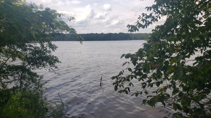 Osprey Trail Parking and Trail - Browns Summit, NC