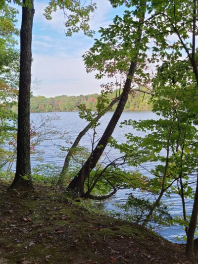 Osprey Trail Parking and Trail - Browns Summit, NC