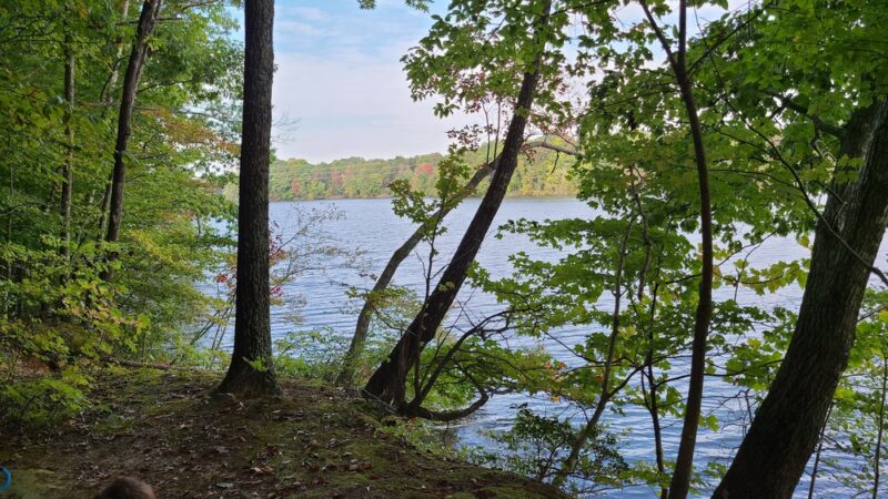 Osprey Trail Parking and Trail - Browns Summit, NC