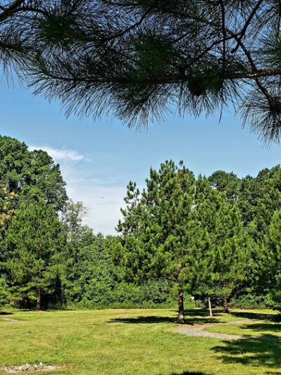 Osprey Trail Parking and Trail - Browns Summit, NC