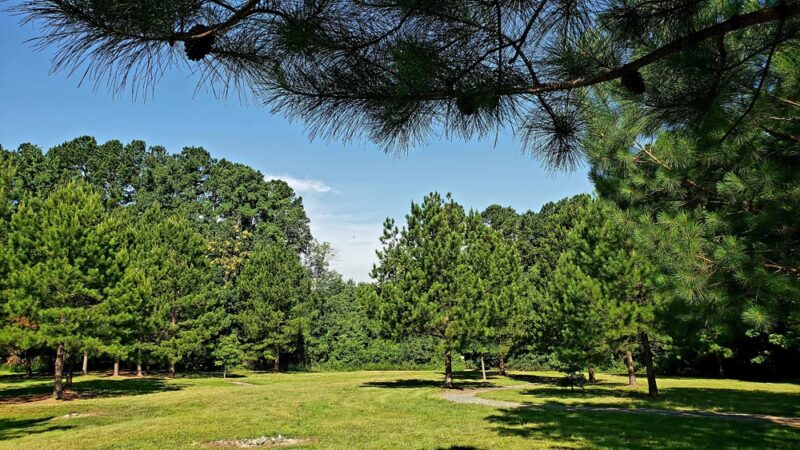 Osprey Trail Parking and Trail - Browns Summit, NC