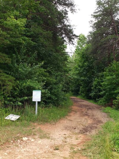 Townsend Trail Trailhead - Browns Summit, NC