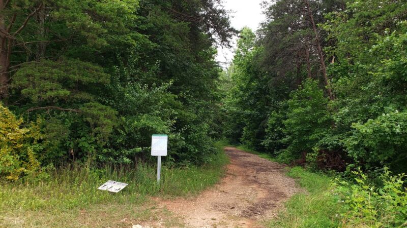 Townsend Trail Trailhead - Browns Summit, NC