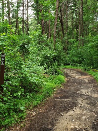 Townsend Trail Trailhead - Browns Summit, NC