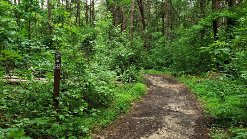 Townsend Trail Trailhead - Browns Summit, NC
