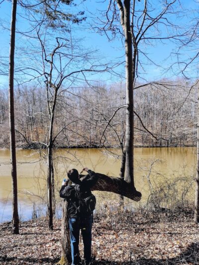 Townsend Trail Trailhead - Browns Summit, NC