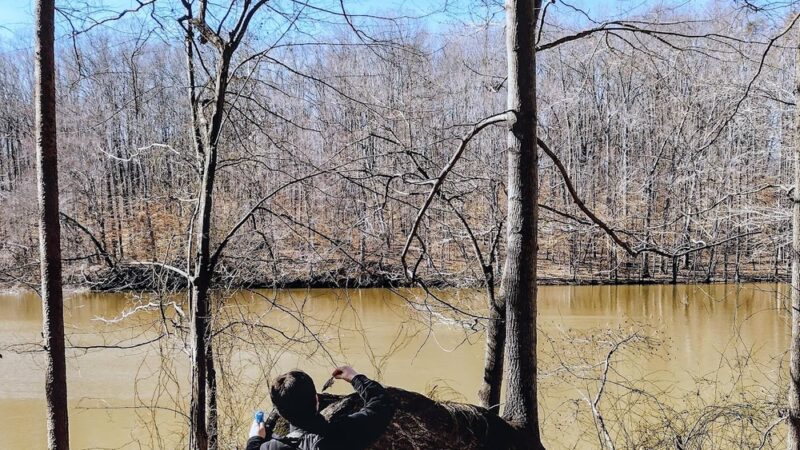 Townsend Trail Trailhead - Browns Summit, NC