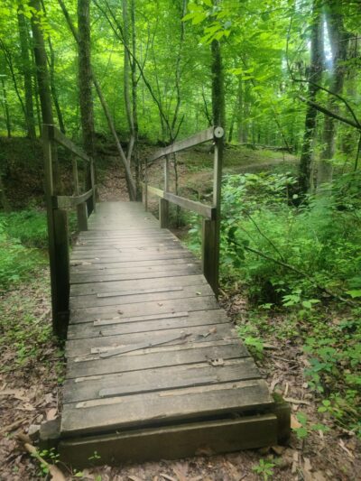 Townsend Trailhead Parking and Trail - Browns Summit, NC