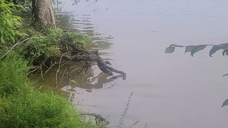 Townsend Trailhead Parking and Trail - Browns Summit, NC