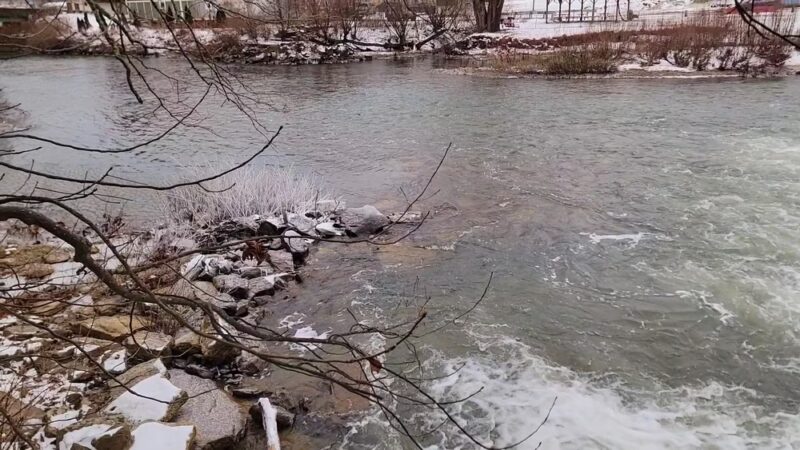 Bruceton Mills Town Park - Bruceton Mills, WV