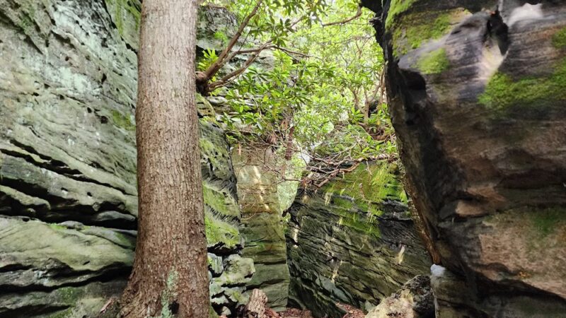 Coopers Rock State Forest - Bruceton Mills, WV